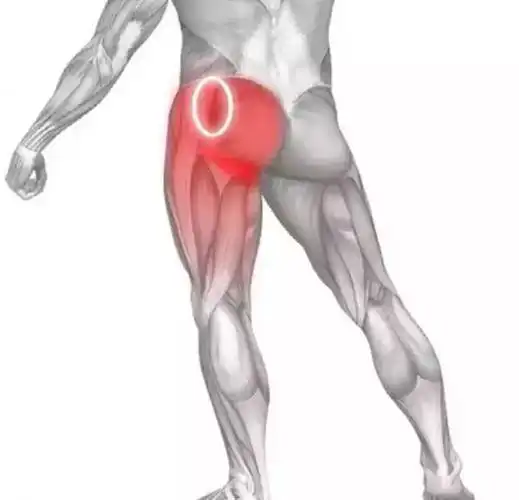 如果臀部肌肉拉伤的话,在跑步过程中你会感觉到臀部一阵锐痛或者被