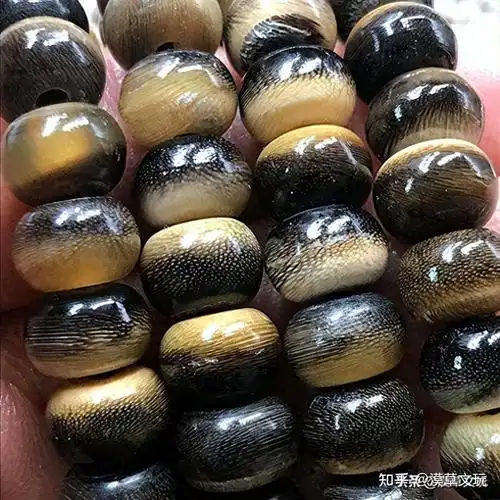 而家畜蹄,牛角的显微组织结构与犀牛角的结构特征有本质的区别.