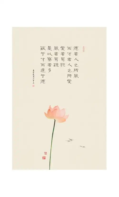 禅定无烦恼,心如莲花开.