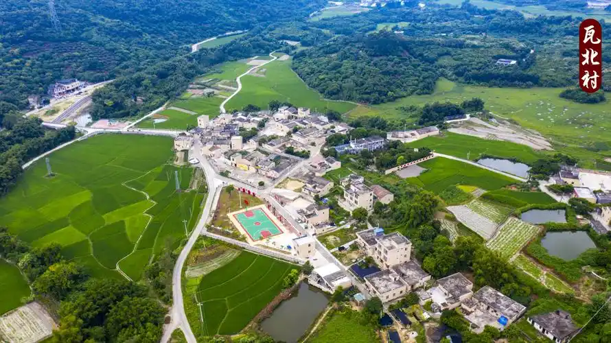 广州知青下乡50周年聚会暨参观瓦北村新农村建设概况