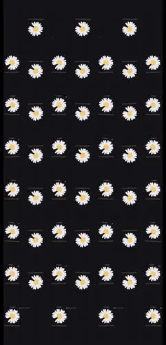 权志龙联名小雏菊