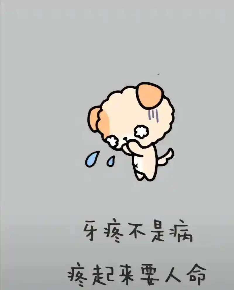 何为痛苦,唯有牙疼,疼的心烦意乱,疼的彻夜难眠.疼的怀疑人生