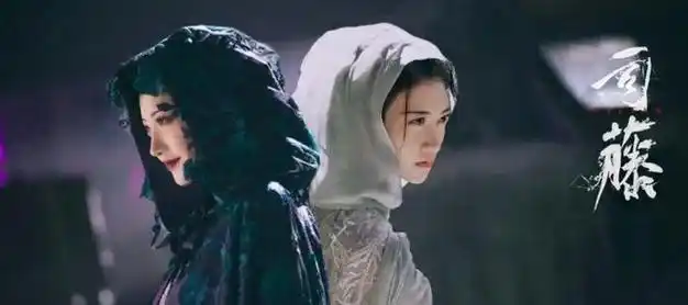 网剧《司藤》给业内人士狠狠上了一课|景甜|黑马|张彬彬|奇幻片|小说