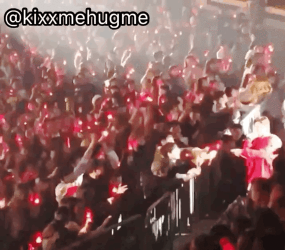 站在第一排狂甩应援棒xiumin追起星来比爱丽还疯