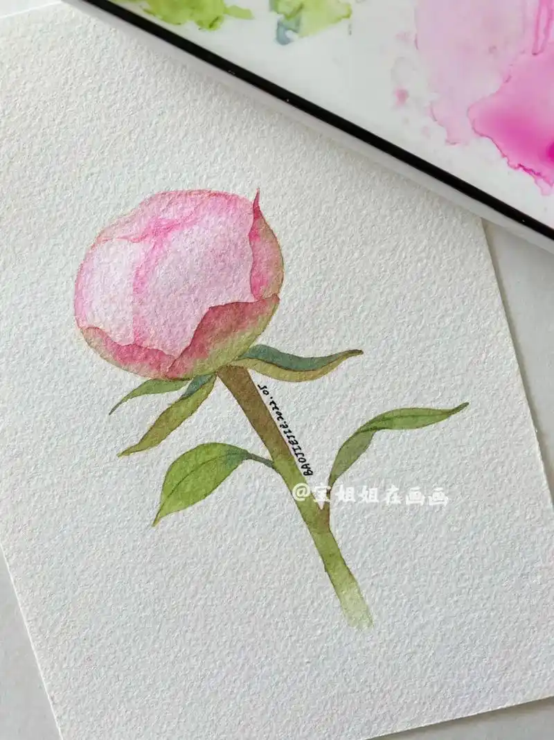 有手就能画的芍药花