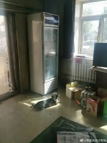 2148 微博 04 查看更多 a 微关系 她的关注(127) 那个人好像是某凯