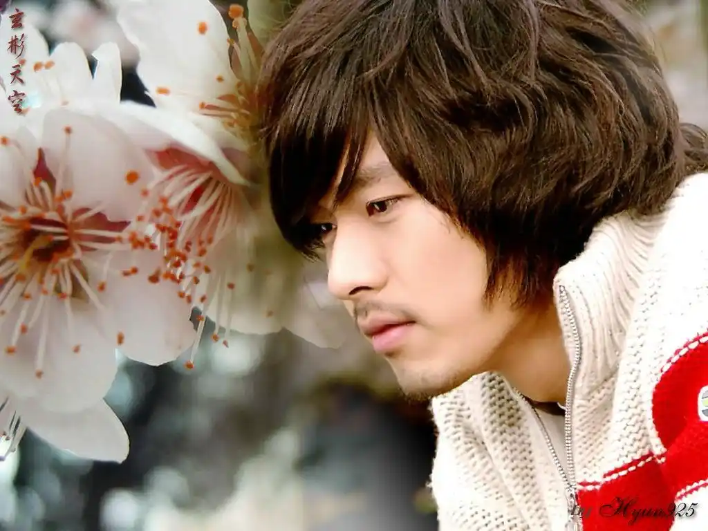 壁纸电影雪之女王