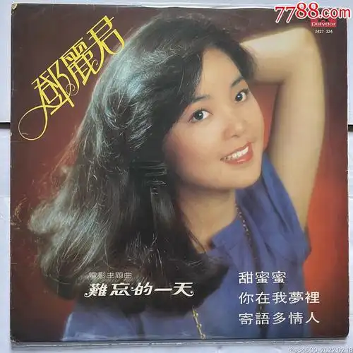 邓丽君《难忘的一天》专集黑胶唱片_老唱片/胶片_旧书收藏_回收价格