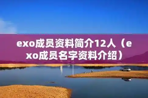 exo成员资料简介12人(exo成员名字资料介绍)