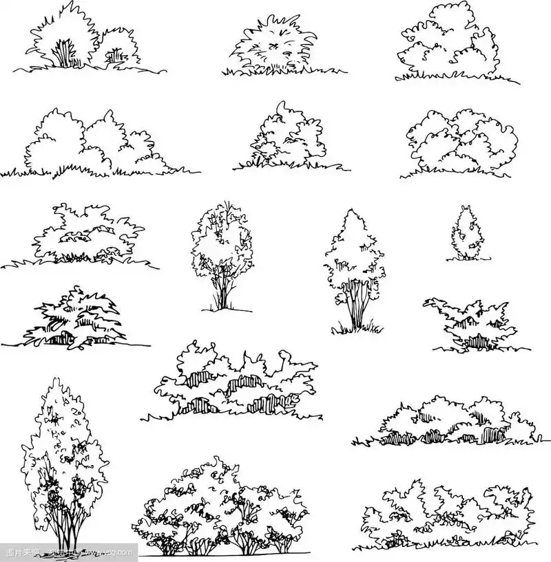 一套手绘建筑师灌木草图