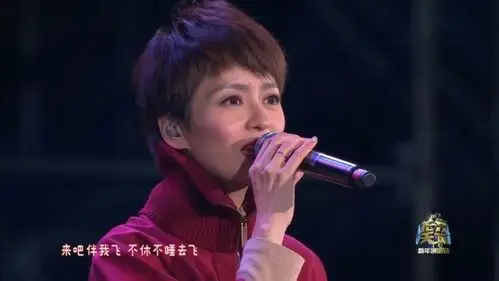 四川卫视花开天下新年演唱会 梁咏琪倾情献唱《花火》