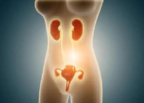 子宫卵巢生长在女性体内的哪个位子