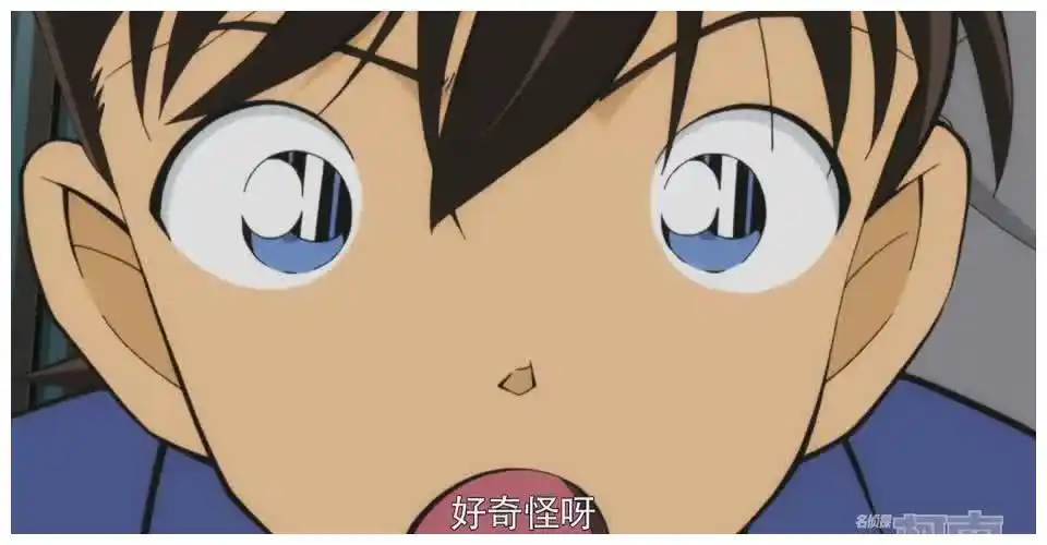 名侦探柯南:当"四大天王"开始卖萌,新一爆笑,还是白马最撩人