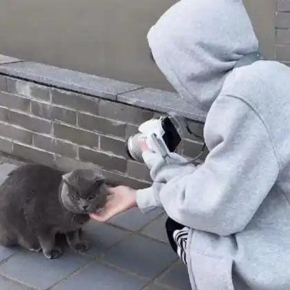 艺术感高级头像男