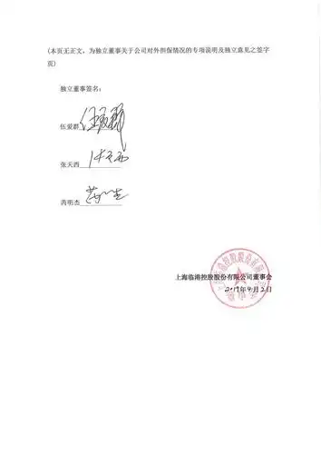 上海临港:独立董事关于公司对外担保情况的专项说明及独立意见