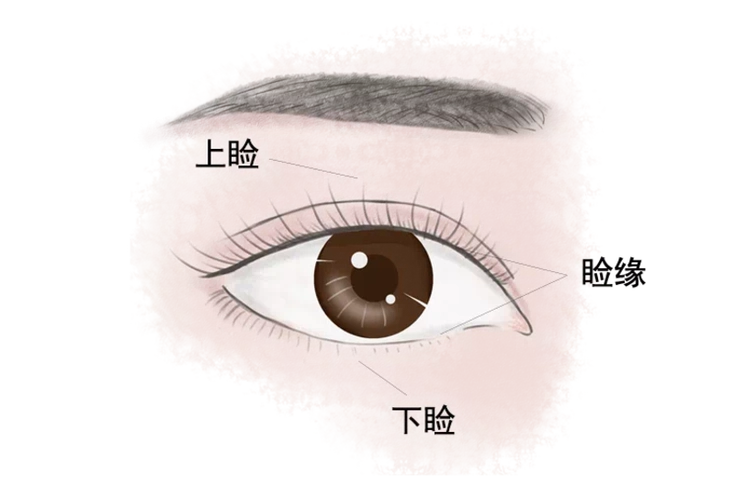 眼睑病哪家医院看的好,治疗眼睑病哪个医生好,眼睑病推荐医院医生_好