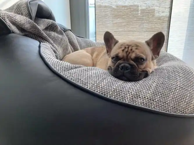 被这个小可爱抢了座真是一点脾气都没有