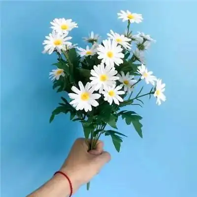 适合女生的小雏菊花图片头像