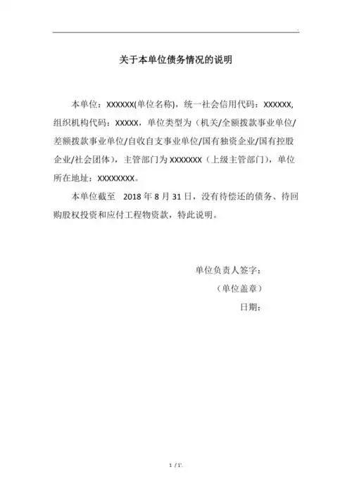 关于本单位债务情况的说明