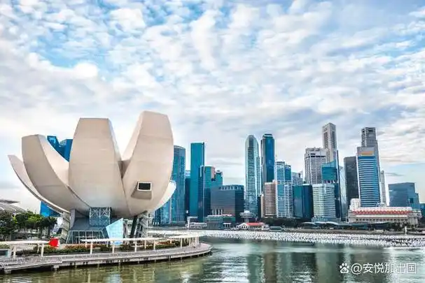 尽管新加坡面积很小,但它的人口在不断增长,基础设施非常完善.