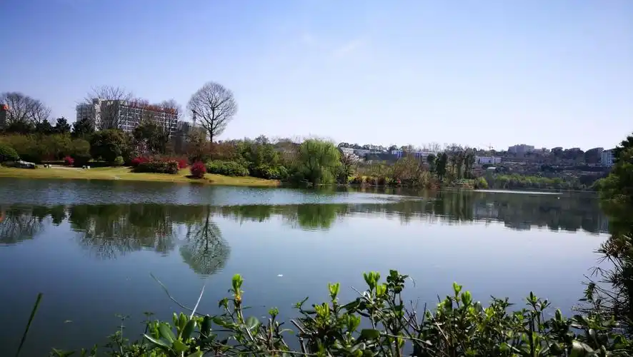 小岛公园开心游