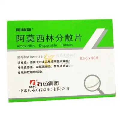 石药 阿莫西林分散片 0.