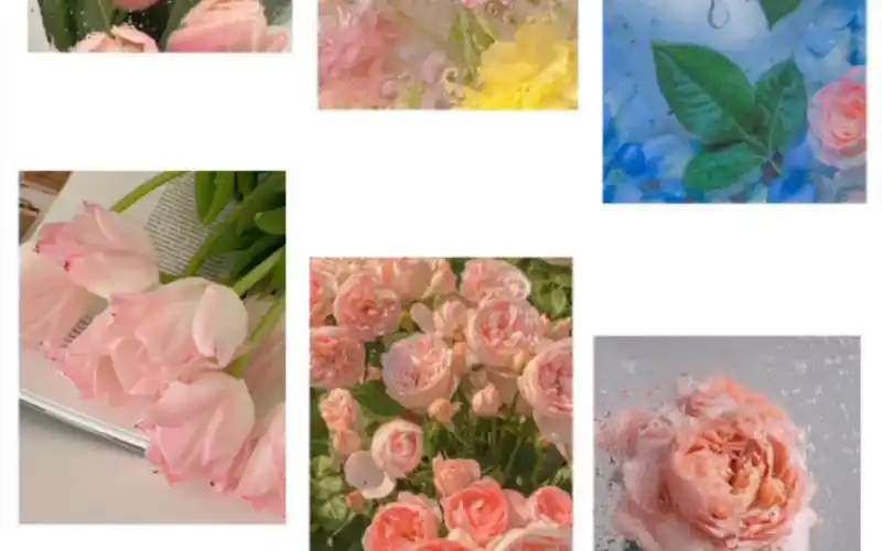 好看的壁纸分享.春天里的浪漫鲜花占一半!