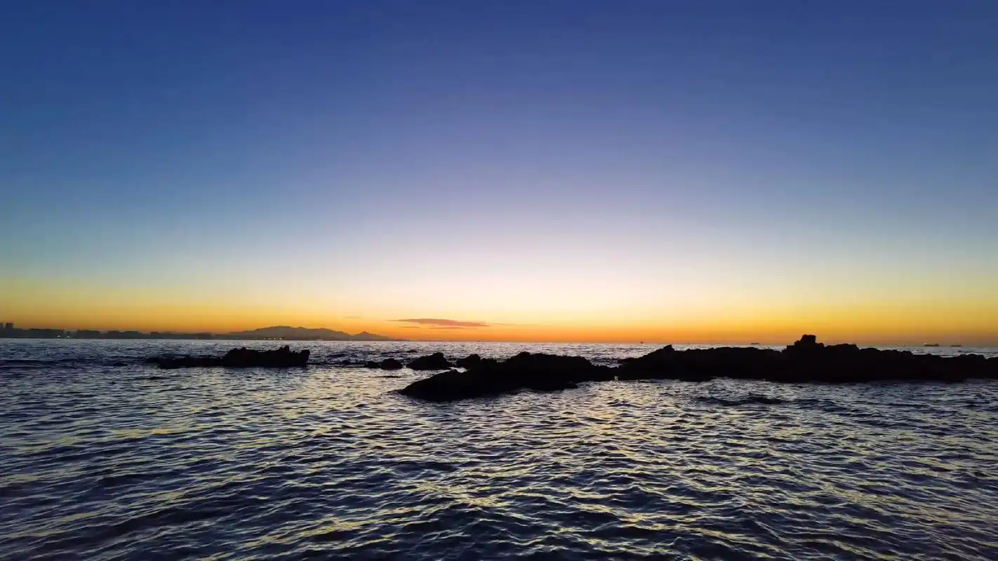 照片拍摄于2021年6月,还没等到下一次.以后见到的都是被核 - 抖音