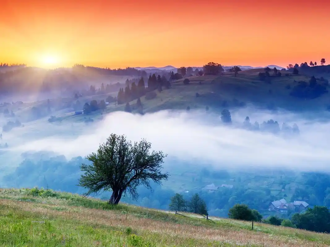 高清唯美自然风光宽屏壁纸大全自然风光风景图片草原图片自然风景风景