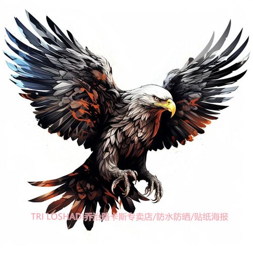 霸气老鹰贴纸防水车贴划痕贴家用背景墙贴装饰贴花自粘背胶门窗贴
