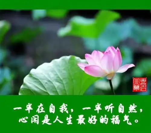 笑对人生 乐享生活