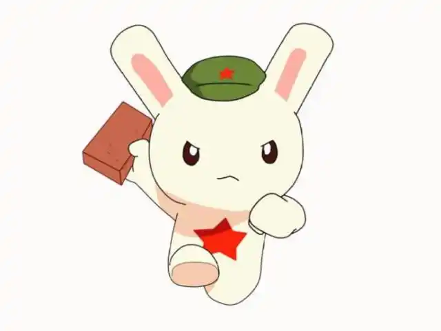 那年·那兔·那些事儿:此生无悔入花家,来世还做花家人