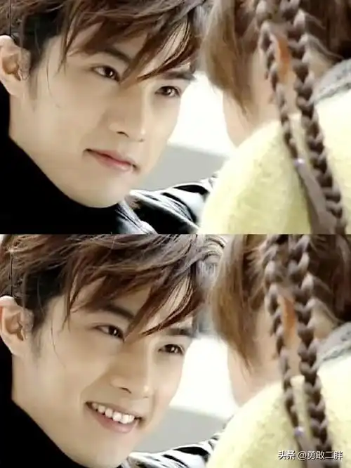 有一说一,贺军翔年轻的时候确实有几分姿色,喜欢看台剧的,应该都被他