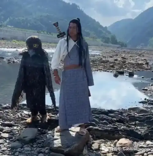 杨过,雕兄 你瘦了