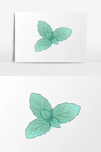 薄荷怎么画 薄荷怎么画简笔画