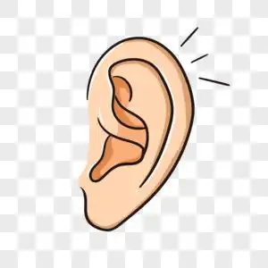 手绘耳朵图片素材