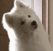 220_211gif 动态图 动图