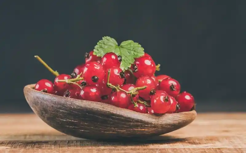 小清新水果图片壁纸 第6页-高清背景图-zol桌面壁纸