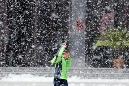 北京进入杨柳飞絮期
