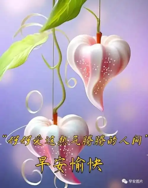 8月2日早安漂亮图片问候祝福语