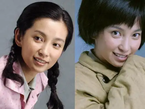 李冰冰悄然默立的野菊花