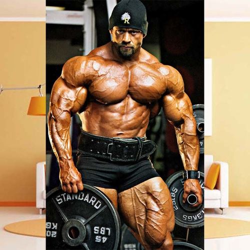 肌肉男猛男胸肌肱二头肌健身海报健美先生布兰奇沃伦branch海报1