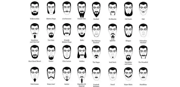 快来学各种胡子英语的不同说法