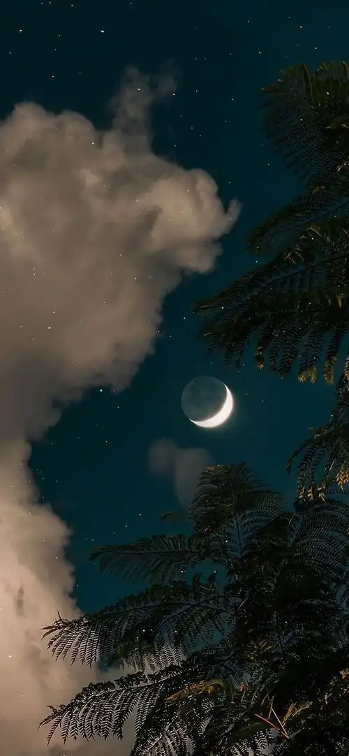 这组聊天背景好看