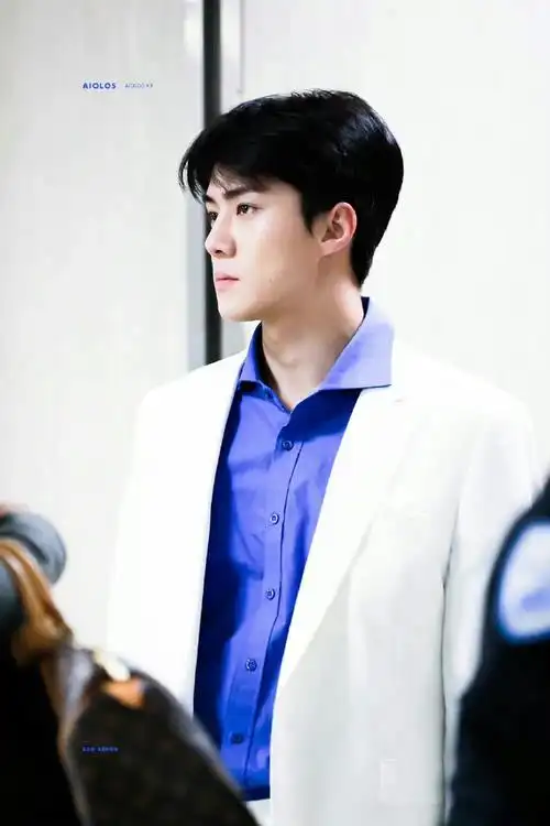 白马王子勋#吴世勋#  总有一天 我的意中人 会穿一身白西装来迎娶我