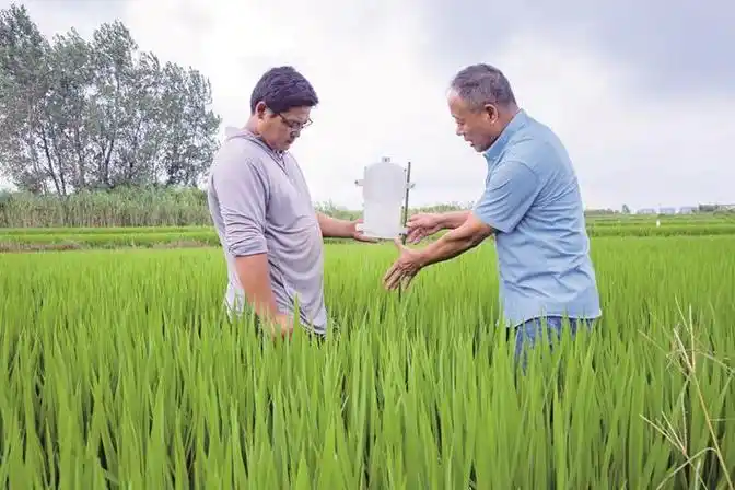 新农人刘武:从会种田变"慧"种田_新浪财经_新浪网
