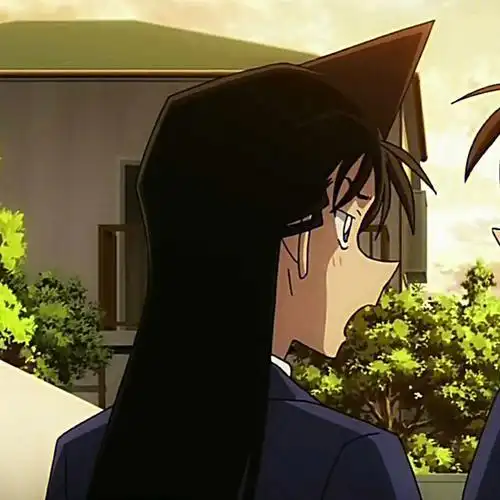 情头新一和小兰