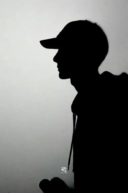 由真维斯剪影图想到"王一博剪影照"合集  p18严格说来不算剪影,但我真