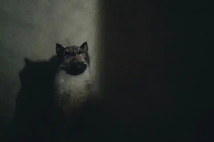 2018年12月11日 13:44   关注  ins 壁纸 欧美 风景 背景 评论 收藏