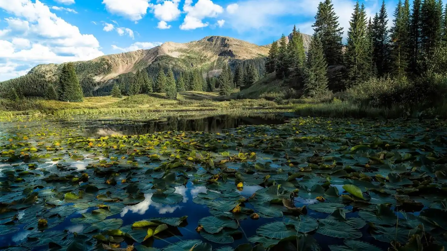 首页 桌面壁纸 风景壁纸 精美自然风景唯美高清桌面壁纸1920_1080手机